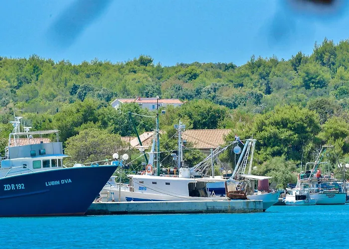 Ana * קוקליצ'ה